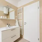 Novi Apartman Franka アパート *